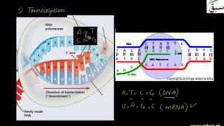 RNA as a Carrier of Genetics Information
