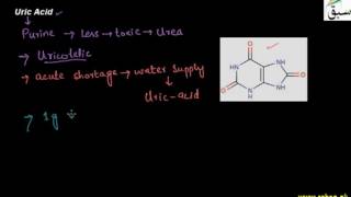 Uric Acid