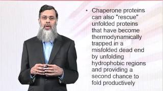 BIO202_Topic071