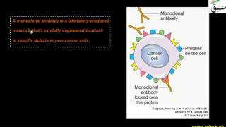 Monoclonal Antibodies in Diagnosis of Diseases