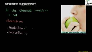Introduction to BioChemistry