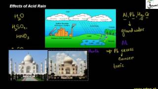 Effect of Acid Rain