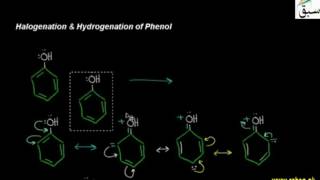 Halogenation & Hydrogenation of Phenol