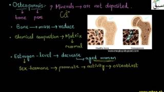 Hormonal Causes of Skeleton Deformities