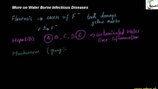 More on Water borne Infectious Diseases