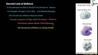 Second Line of Defence