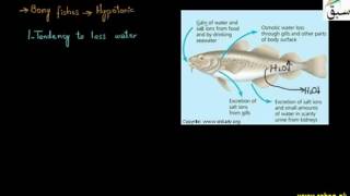 Marine Enviroments