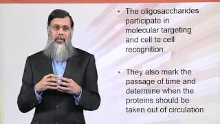 BIO202_Topic025