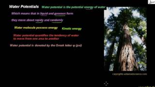 Water Potentials