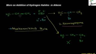 More on Addition of Hydrogen Halides in Alkene