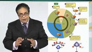 BIO201_Topic039