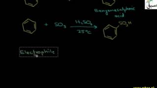 Sulphonation of Benzene
