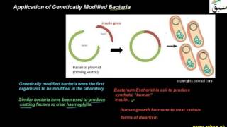 Application of Genetically Modified Bacteria