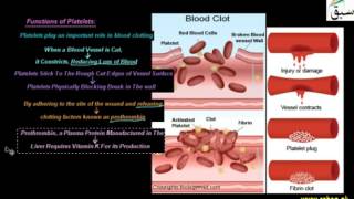 Platelets