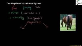 Two Kingdom Classification System