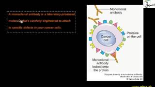 Monoclonal Antibodies in Diagnosis of Diseases