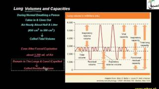 Lungs Volumes and Capacities