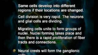 PSY610_Lecture18