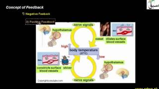 Concept of Feedback