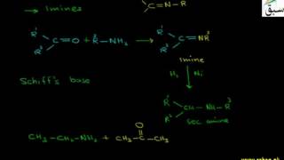 Reaction of Amines with Aldehydes and Ketones