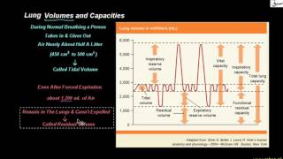 Lungs Volumes and Capacities