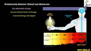 Relationship Between Stimuli and Behavoiur