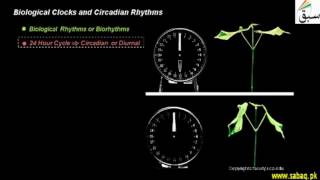 Biological Clocks and Circadian Rhythms