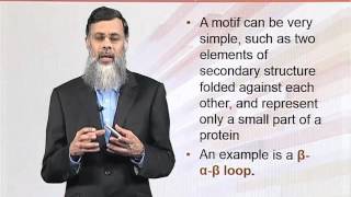 BIO202_Topic061