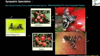 Sympatric Speciation