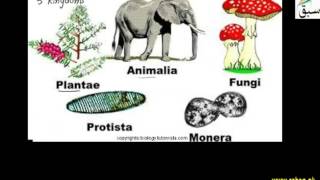 Taxonomy of Prokaryotes