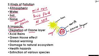 Essay Outline  (Pollution) Part 1