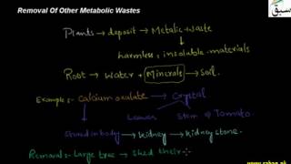 Removal of Other Metabolic Wastes
