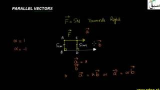 Parallel Vectors
