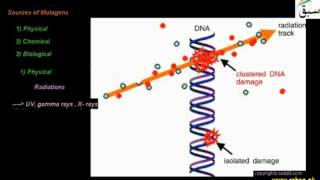Mutations
