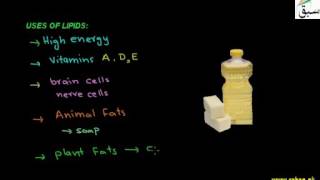 Uses of Lipids