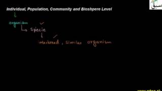Individual level, Population level