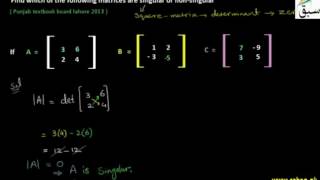 Problem 1: Singular and Non-singular Matrix