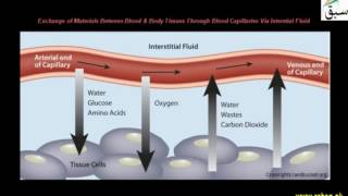 More on Functions of Blood