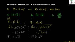 Problem-Properties of Magnitude of Vector