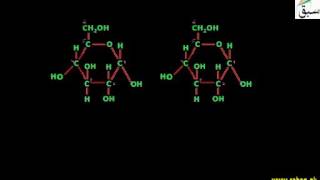 Disaccharides