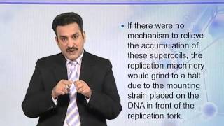 BIO302_Topic046