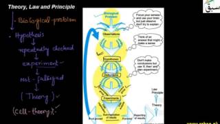 Law Principles