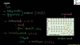 Lipids