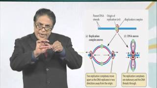 BIO201_Topic067