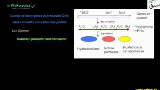 Methods of Regulation of Gene Expression