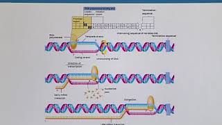BIF732_Topic012