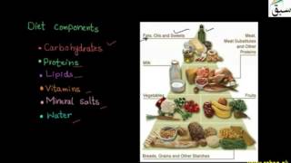 Carbohydrates