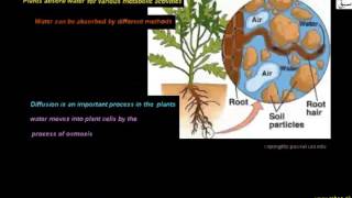 More on Diffusion, Active Transport,Facilitated Diffusion