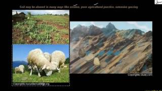 Renewable Resources (Land and Wildlife)