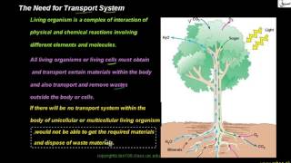 Need of Transport of Materials